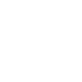 Universal Carpet and Rugs